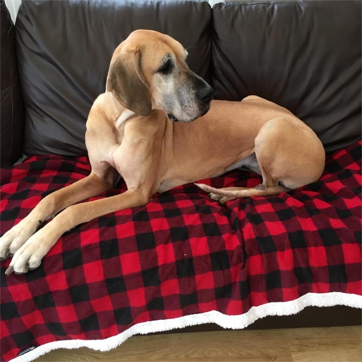 Kritter Planet Waterproof Dog Blanket, Reversible Water Proof Pet Blanket for Couch, Bed & Sofa, Washable Couch Covers for Large Dogs - Protects Furniture from Fur, Dirt, and Accidents