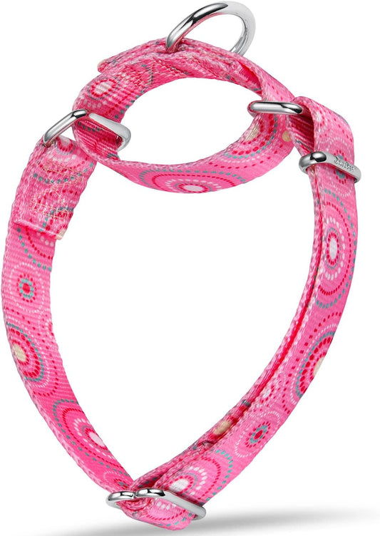 Fashion Print and Unique Geometric Pattern Martingale Dog Collar, Silky Soft Safety Training Collars for Small to Large Dogs (Medium, 1 Inch Wide, Firework Dots -Pink)