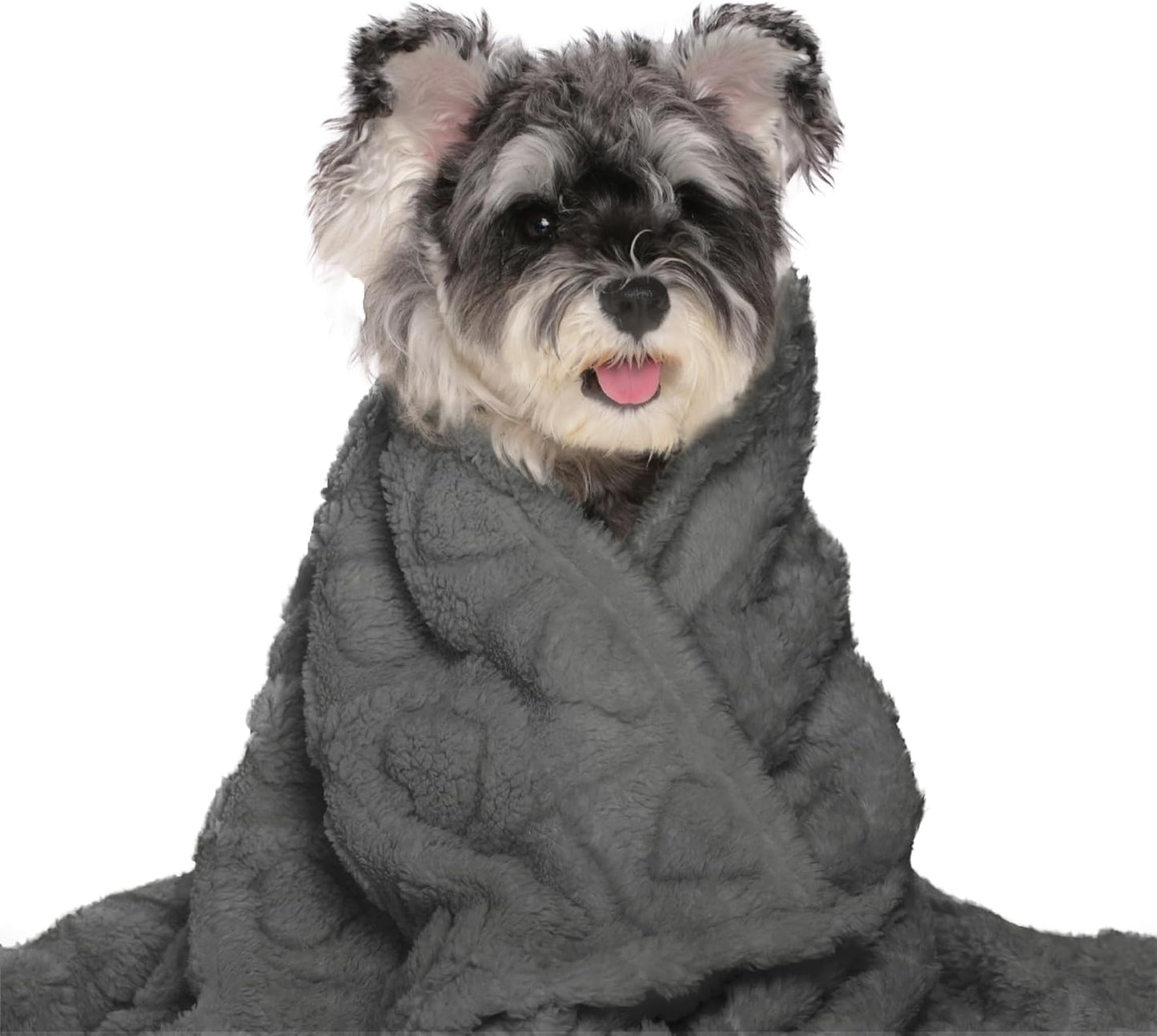 gogobunny Calming Plush Dog Cat Blanket 300GSM Coral Fleece, Ultra-Soft Machine Washable Pet Bedding for Small Medium Dogs Cats Puppies Kittens (Anthracite, 30x40)