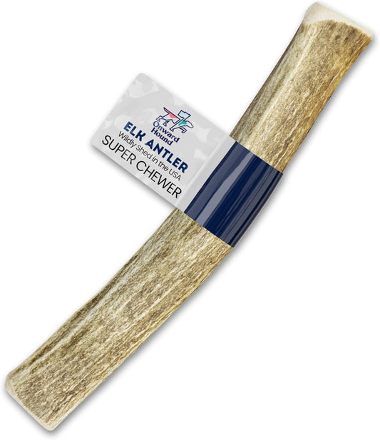 Onward Hound Elk Antlers for Dogs, 8"+ XXL 1-Pack, Grade A Long Lasting Chew for Aggressive Chewers, Premium USA Naturally Shed Antler - Healthy, No Odor, Durable Dog Chew for 90lb+ Breeds