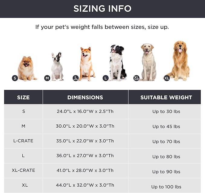 Bedsure Washable Dog Beds Large Sized Dog - 3 Inch Thicken Up to 80lbs Pet Mat Pillows with Removable Washable Cover, Green