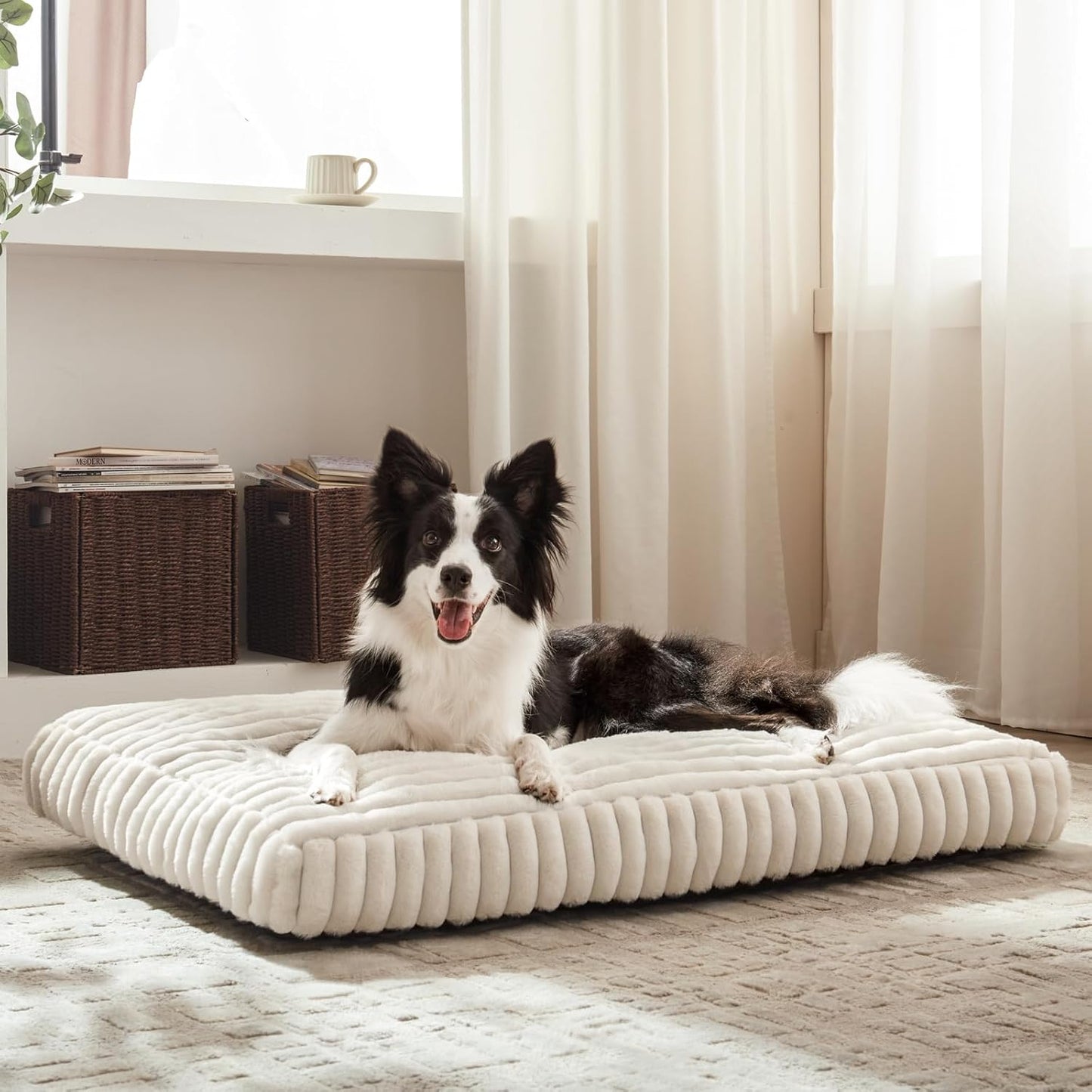 Dog Bed Medium Size Dog, Flat Pet Beds with Removable Washable Cover, Pet Mat Cute Crate Bed Thick Shredded Chopped Crate Foam & Anti Slip Bottom for Indoor, 29"x21"x3" Cream