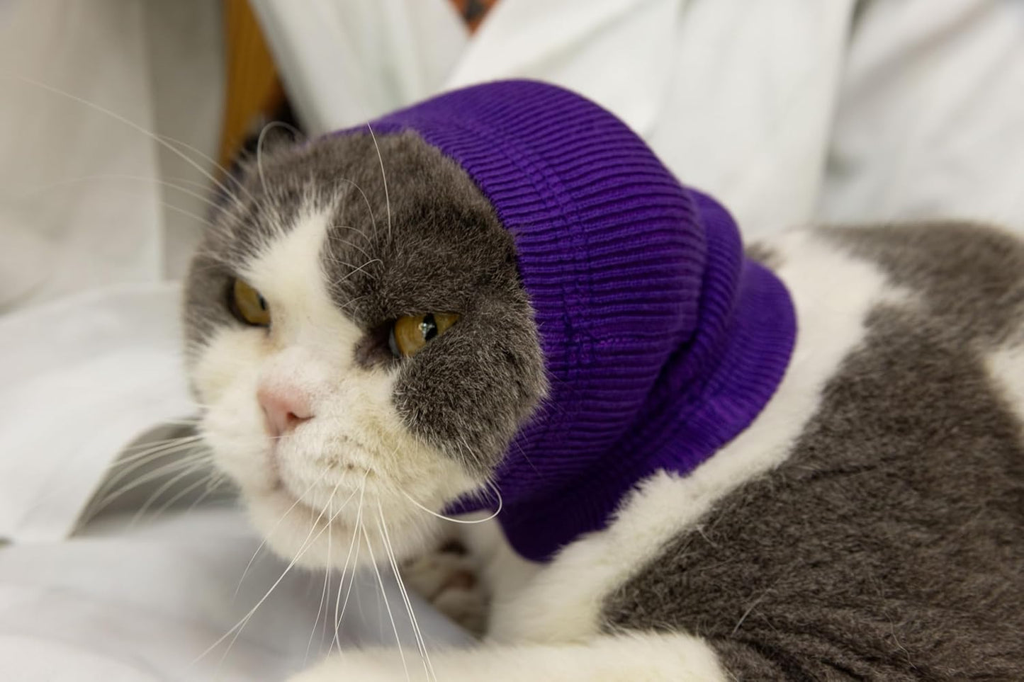 Cat Hematoma Ear Wrap, Cat Ear Wrap Cats Anxiety Relief – Noise Canceling for Fireworks, Thunderstorms Purple S