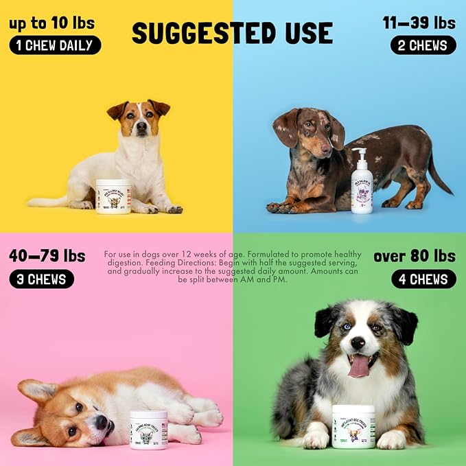 Turmeric Curcumin Hip & Joint Dogs Supplement Anti-Inflammatory Support for Arthritis & Mobility with Collagen & BioPerine Pain Relief Antioxidant Digestive Cardiovascular and Liver Health 120 Chews