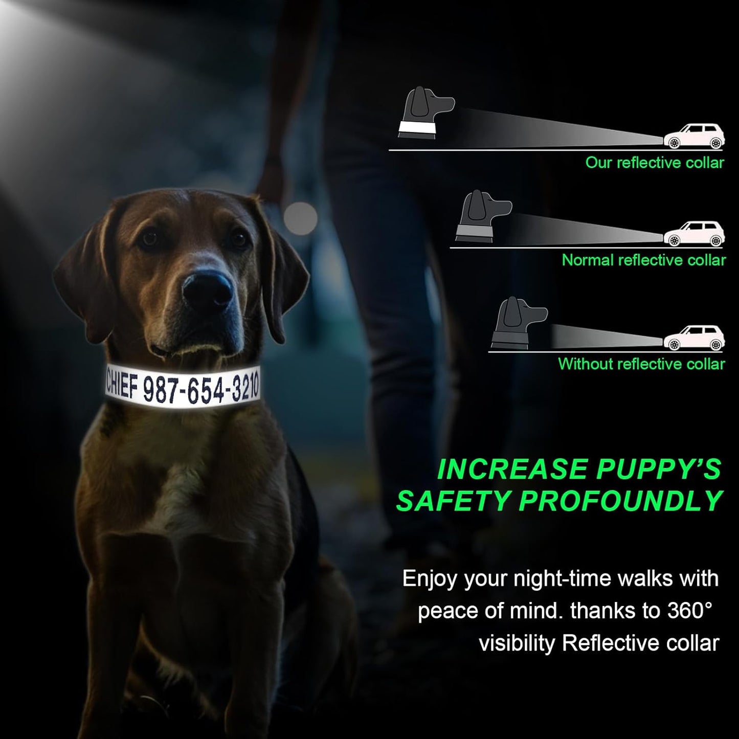 Personalized Reflective Dog Collar Embroidered with Pet Name and Phone Number - Metal Buckle Adjustable Custom Dog Collars in Pink, Blue, Black for Small Dogs, Boys and Girls Puppy