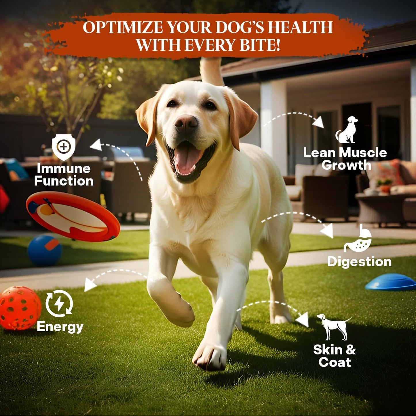 Healthy Dogma - PetMix Dehydrated Dog Food -, Raw, Easy-to-Digest Homemade Dog Food with Freeze-Dried Duck, Goat’s Milk & Superfoods (Duck Dinner, 2 lbs)