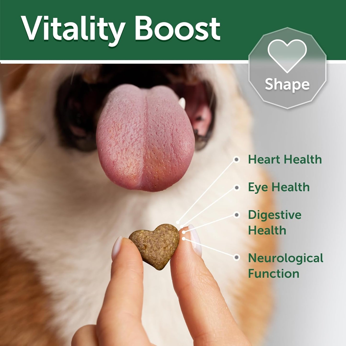 Nature's Protection Low Calorie Dog Treats for Training - Perfect for Small, Medium & Large Breed Dogs with Light Fur (Superior Care - White Fish & Rice, 5.29 oz)