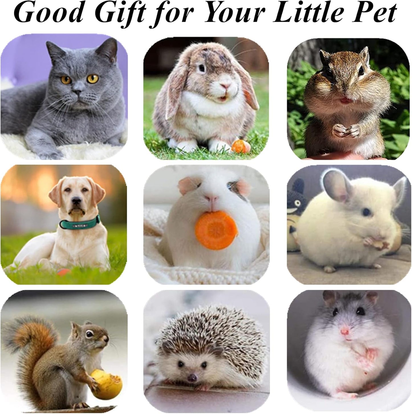 Cat Toys 10Pack Silvervine Chew Stick Kitten Treat Catnip Toy Kitty Natural Stuff Catnip for Cleaning Teeth Indoor Dental Snack Interactive