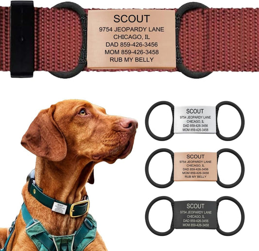 Personalized Dog Tags by ROAD iD | Silent & Durable | Jingle-Free Slide-On Design | Stainless Steel Name Tag Fits Any Collar | Multiple Colors & Sizes for Your Pet's Unique Style