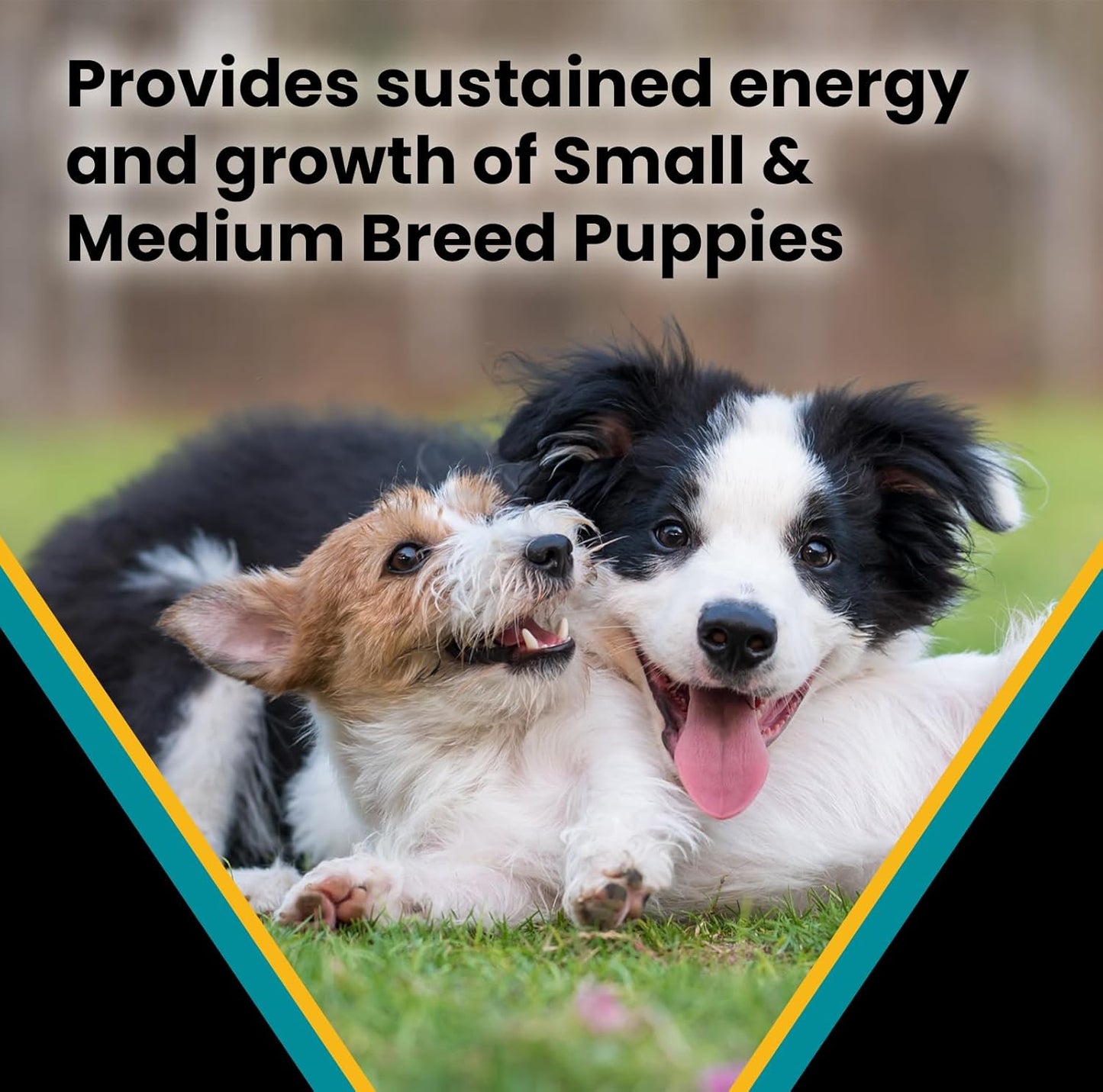 VICTOR Classic - Hi-Pro Small & Medium Breed Puppy, 15-lb