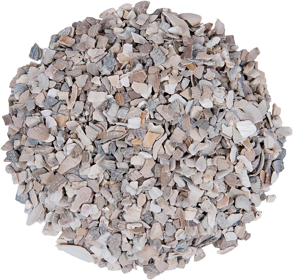 Small Pet Select Flaked Oyster and Seashell Mix-Calcium Supplement for Chickens & Ducks (5lb)