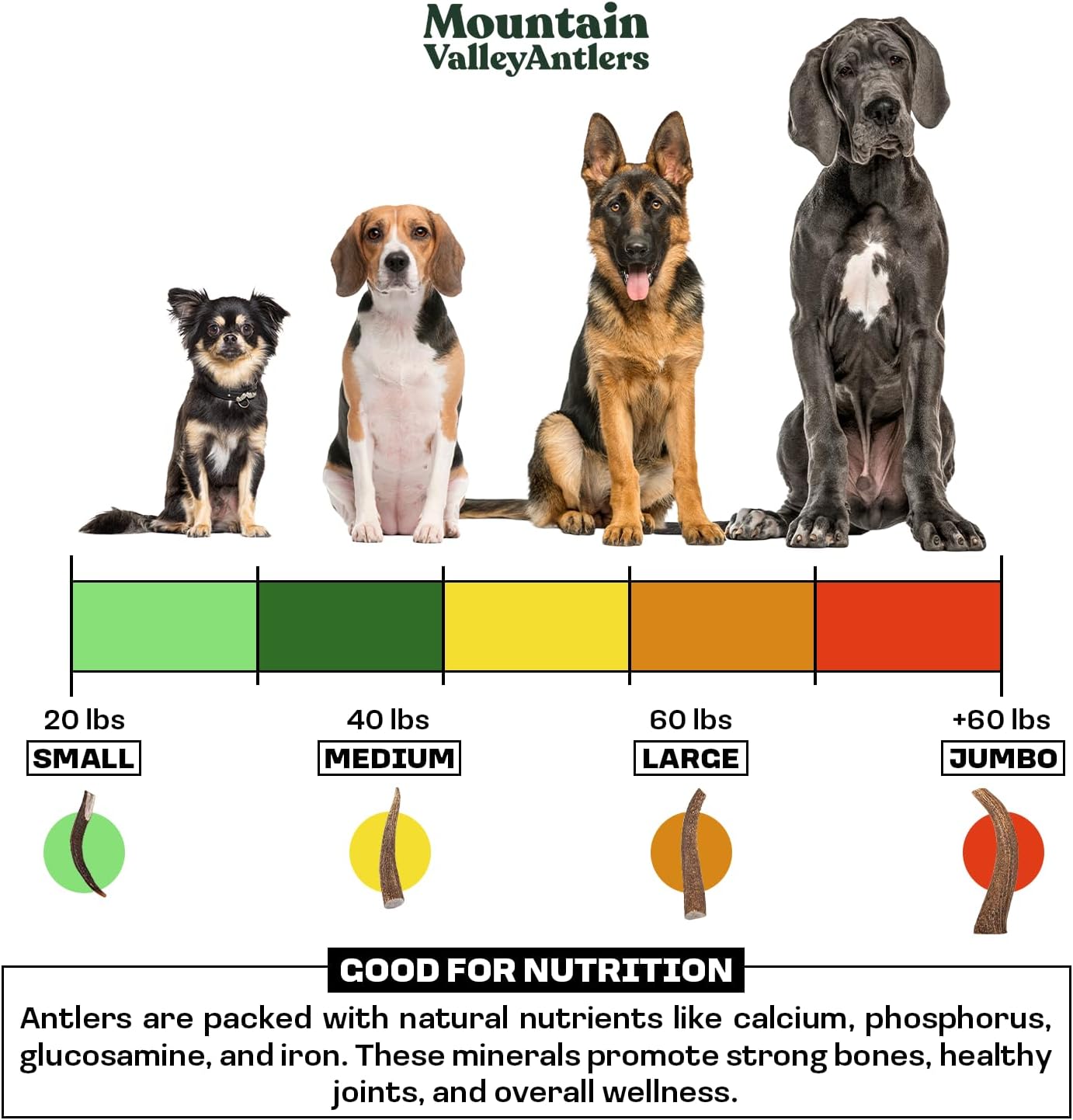 Mountain Valley Deer Antlers for Dogs - 100% Natural & Organic Chew for Aggressive Chewers, No Odor, No Mess, Long Lasting - Wild-Foraged Naturally Shed Antlers in USA - Grade A, Whole Medium (1 Pack)