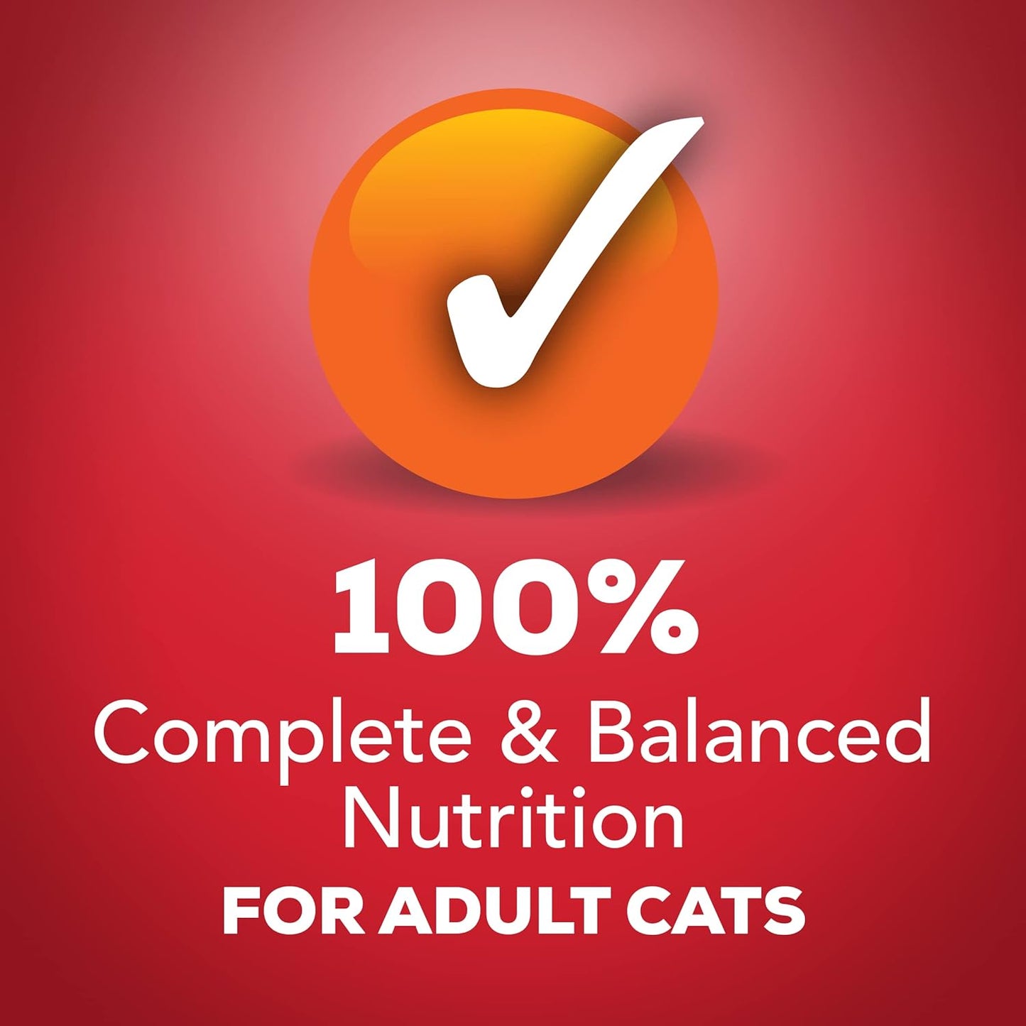 Purina Friskies Meaty Bits Wet Cat Food, with Beef in Gravy, Made with Real Beef, Canned Wet Cat Food for Adult Cats, 5.5-Ounce Recyclable Can (Pack of 12)