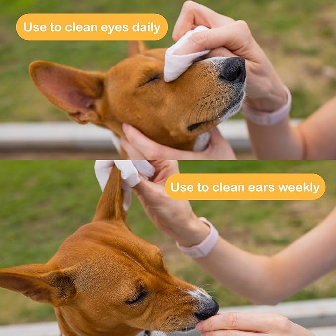 SONO Dog Wipes - Gentle Pet Wipes for Paws, Butt, Face & Body - Cleaning, Deodorizing, Puppy & Cat Friendly - Unscented, 100 Count