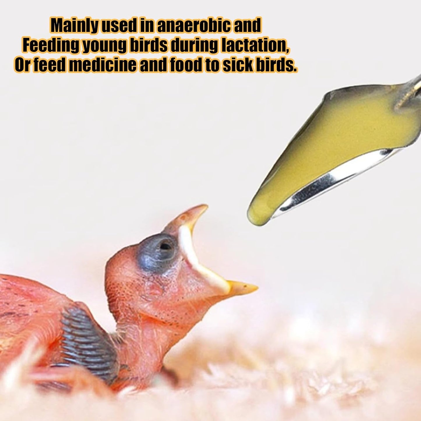 Baby Bird Feeding Syringe Set, Pet Parrot Milk Feeding Syringe with Tubes, Parrot Feeding Tubes Measuring Tools for Feeding Pets Scientific Industrial Labs… (20ml + 2 spoons)