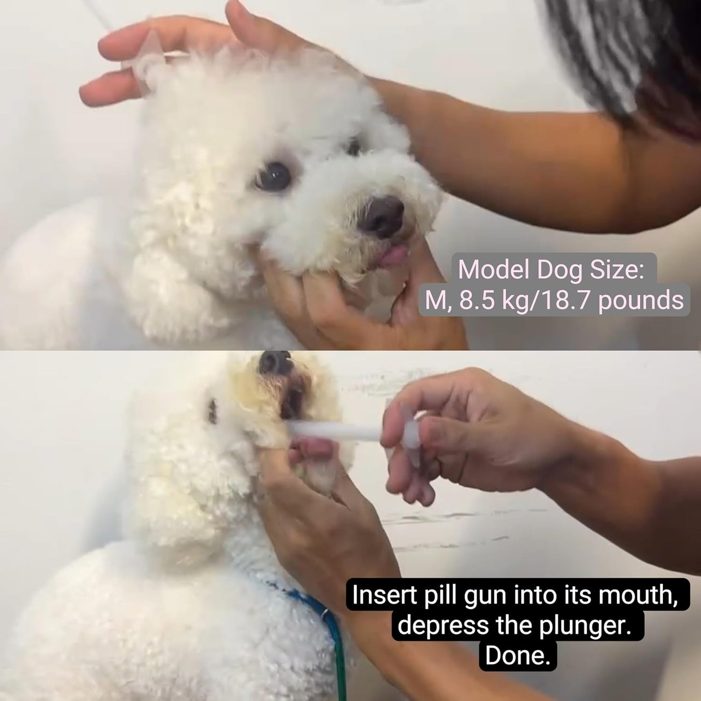 DS. DISTINCTIVE STYLE Dog Pill Shooter 2 Pieces Pet Piller Pill Dispenser for Large Dogs Handy Pill Gun for Medium to Large Breed Up to 45 Pounds