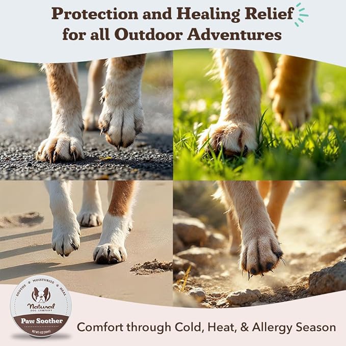 Natural Dog Company Paw Soother Balm & Wax 4 oz Tin – Restorative Paw Repair with Coconut Oil, Vitamin E & Calendula – Heals Dry, Cracked Paws, Lick-Safe, Extreme Weather Protection
