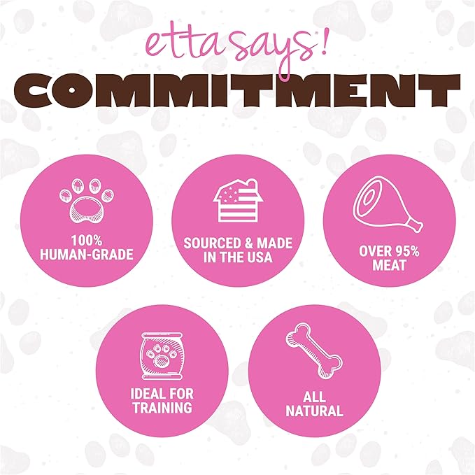 etta says! Big Yumm Sticks - Real Meat Pork Dog Jerky Treats - Human Grade - Made in The USA (24 Count Pack of 1)