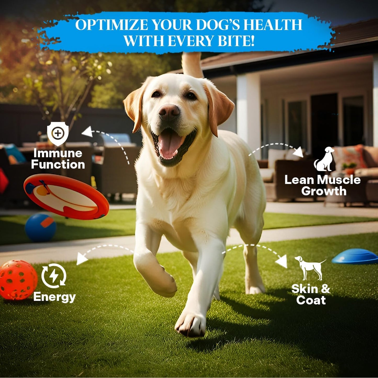 Healthy Dogma - PetMix Dehydrated Dog Food – Fish Dinner with Wild-Caught Alaskan Salmon & Whitefish – Gluten-Free, Skin & Coat Support, Clean Ingredient Dog Food – No Preservatives, (2 lbs)