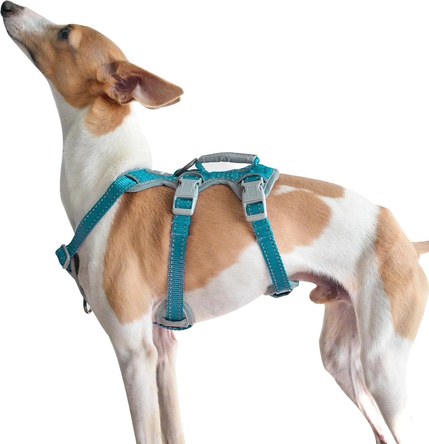 Huntboo Escape Proof Dog Harness, Escape Artist Harness, Fully Reflective Harness with Padded Handle, Breathable,Durable, Adjustable Vest for Medium Dogs Walking, Training, and Running Gear (Teal,XS)