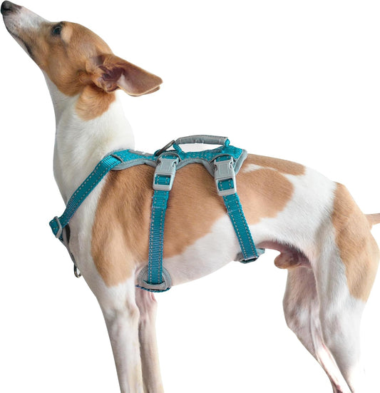 Huntboo Escape Proof Dog Harness, Escape Artist Harness, Fully Reflective Harness with Padded Handle, Breathable,Durable, Adjustable Vest for Medium Dogs Walking, Training, and Running Gear (Teal,XS)