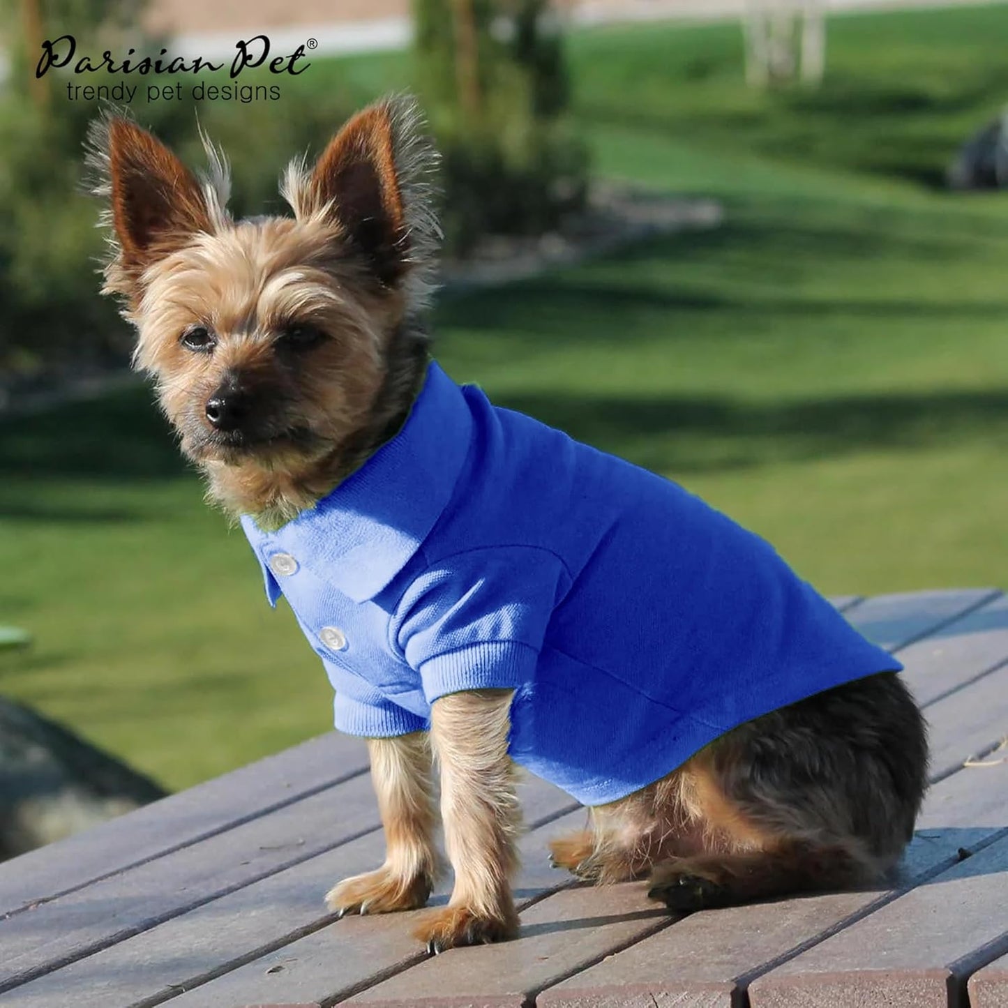 Parisian Pet Dog Polo Shirts - Breathable Cotton Shirt - Solid Blue, Summer Pullover - Button Up Collar Polo for Medium Dogs