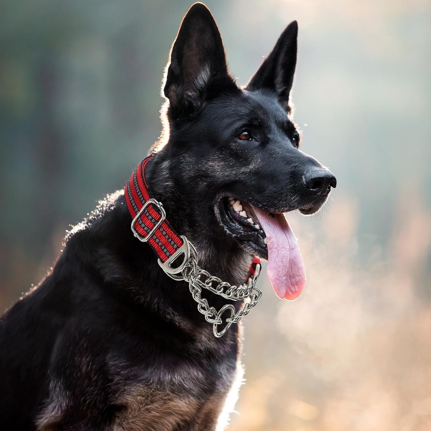 Martingale Dog Collar for Training,Adjustable No Pull Reflective Collar with Chain for Medium to Large Dogs Secure/Comfortable Walking Collar for Night Safety（Red L）