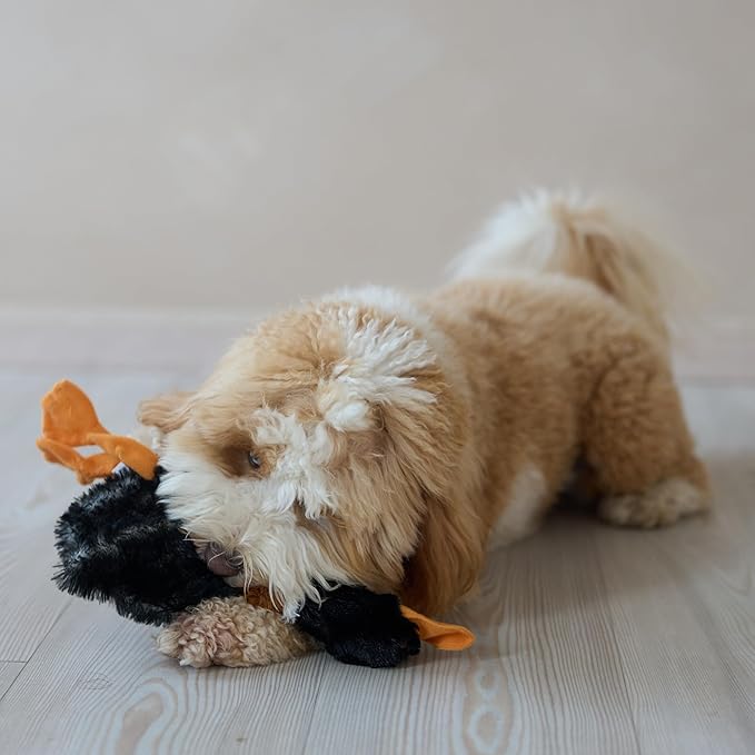 SPOT Skinneeez Mini Mallard Duck 13 Inch Stuffing-Free Plush Squeaky Dog Toy – Soft Interactive Toy for Small and Medium Dogs – Mess-Free Play for Light & Moderate Chewers – Assorted Styles