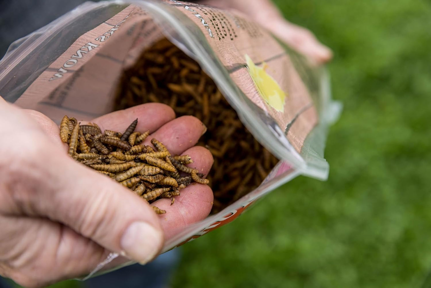 Good Deal Grubs Dried Black Soldier Fly Larvae Treat (1lb) for Chickens, Poultry, Birds, Small Pets - Protein and Calcium Supplement