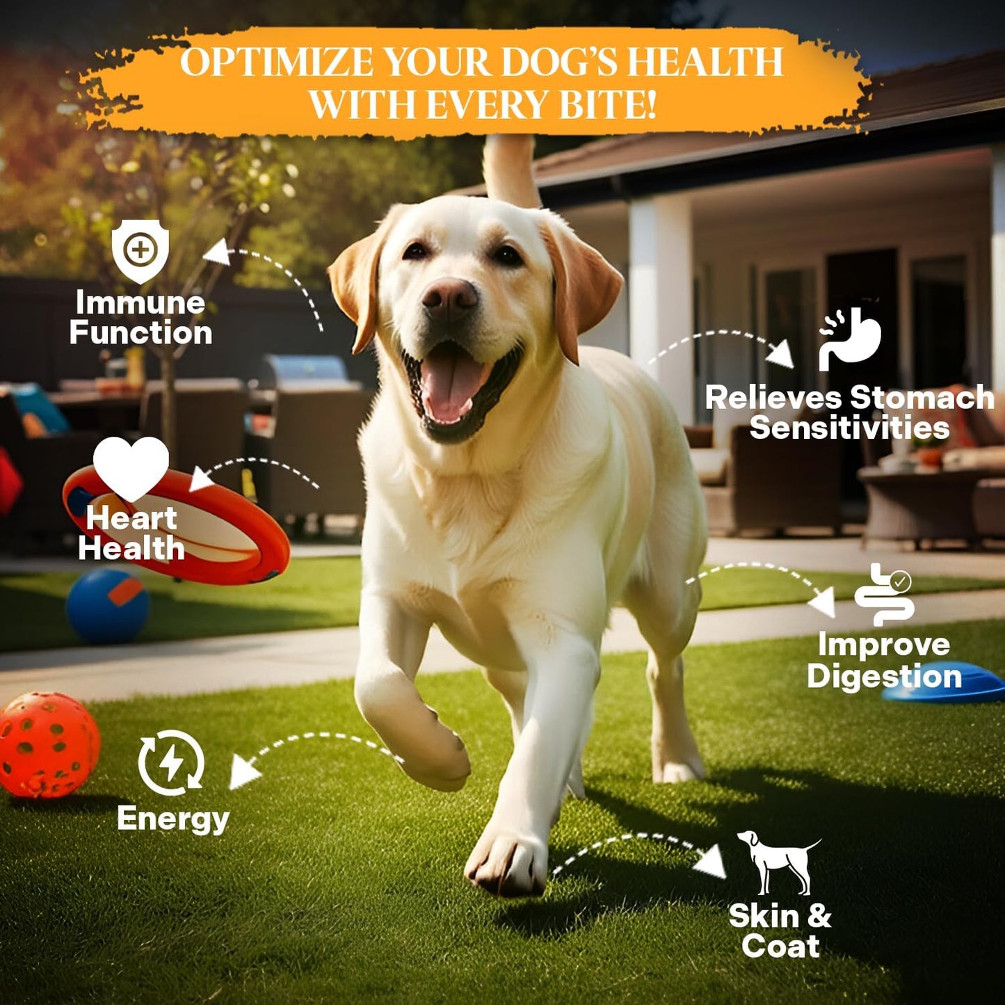 Healthy Dogma - PetMix Dehydrated Dog Food - Food for Dog Sensitive Stomach, Clean Ingredient Dog Meal - No Preservatives, Homemade Dog Food (Tender Tummy, 2 lbs)