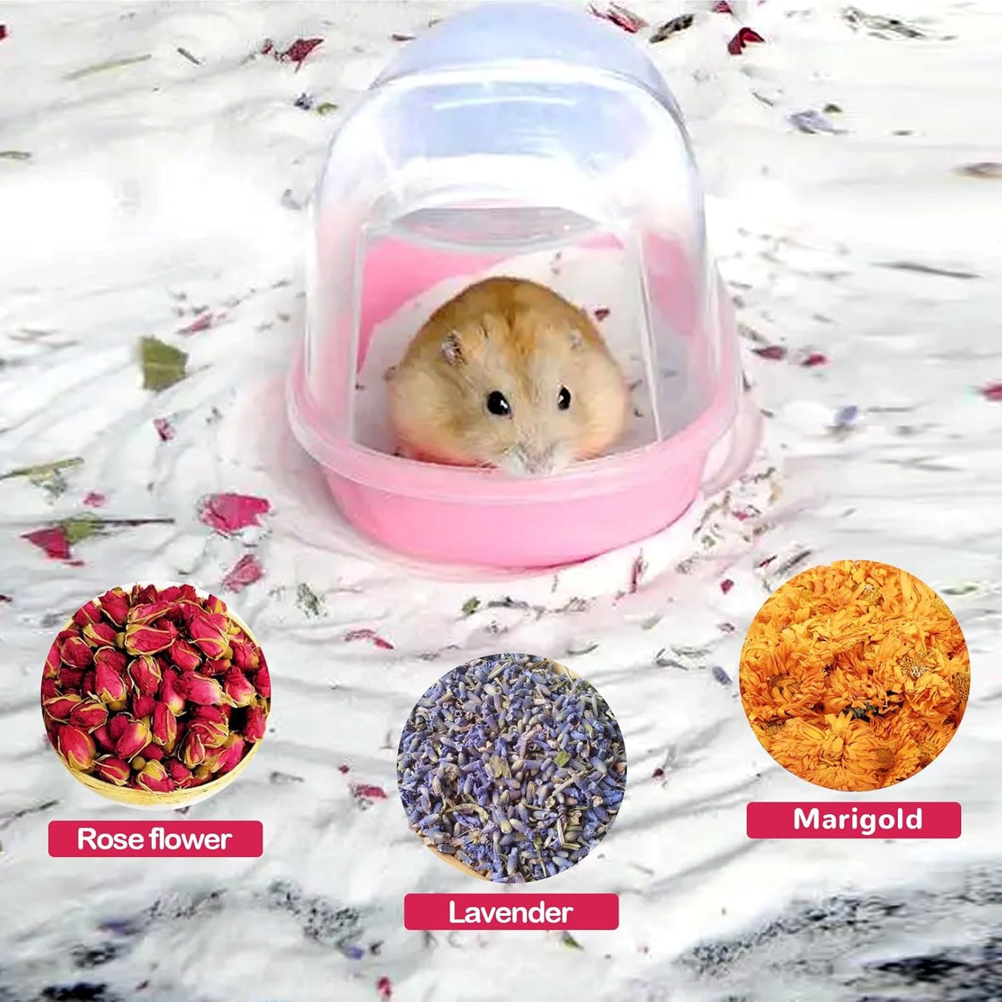 Hamster Bath Sand Natural Dust Free Plant Bathing Sand Desert Sands Flower Scented Clean Small Animal Potty Litter Sand for Guinea Pig Hamster Chinchilla(5LB/2.3kg)