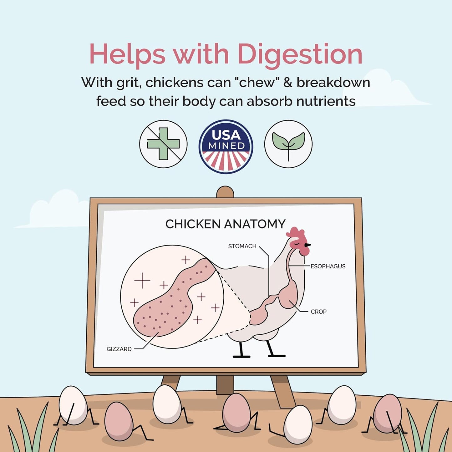 Chicken Grit for Layer & Grower Chickens Age 8-20+ Weeks - 100% Natural Mineral Chicken Grit Quartzite, Poultry Grit, USA Mined, 4 lbs