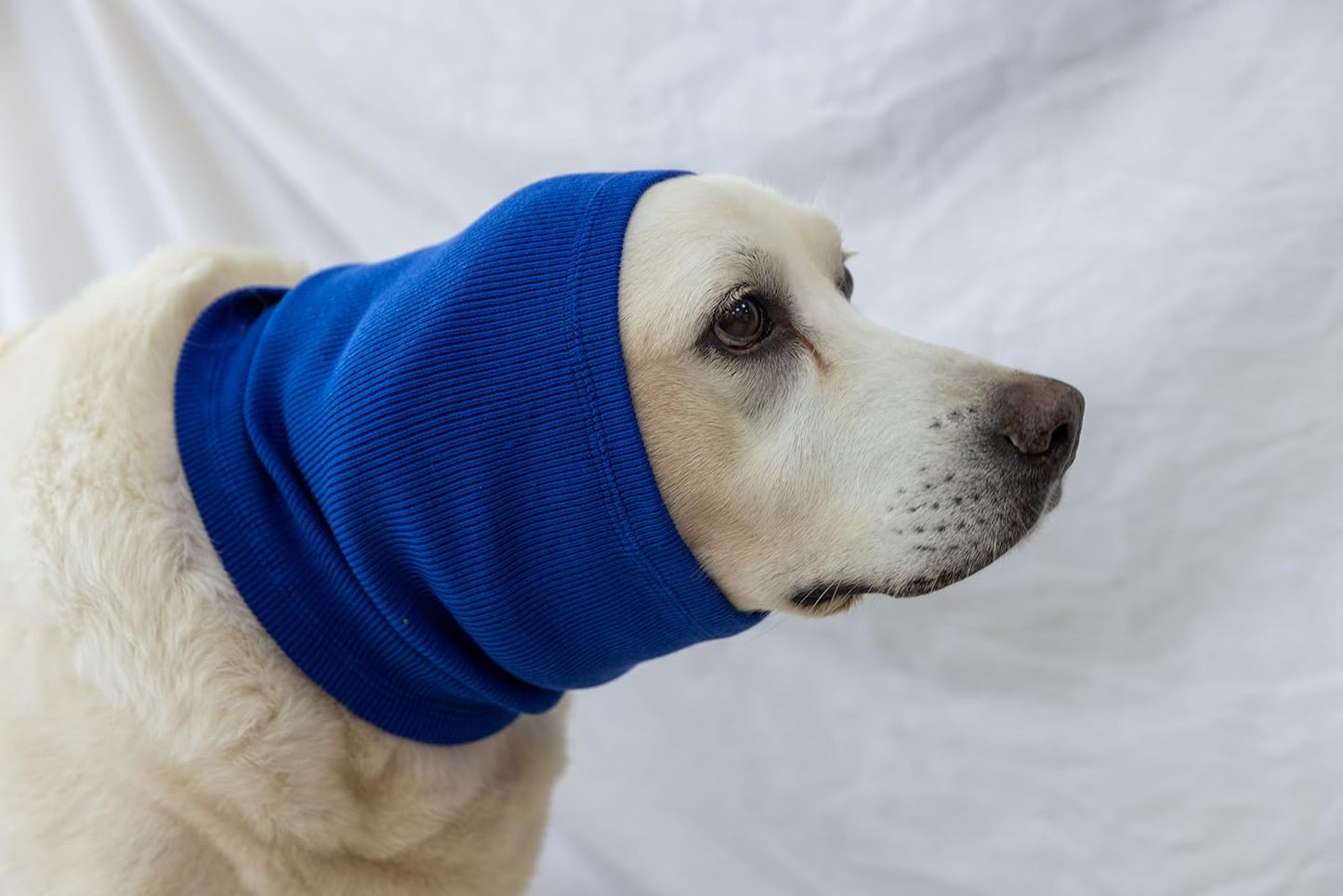 Dog Ear Muffs for Noise Cancelling, Keep Claming Ear Covers Outdoor Activities Neck Snood for Dog (Blue L)