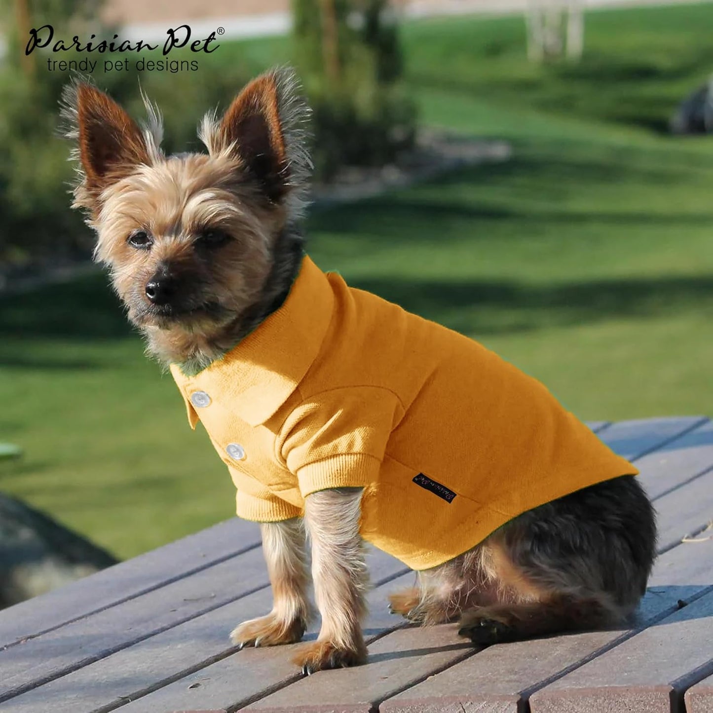 Parisian Pet Dog Polo Shirts - Breathable Cotton Shirt - Solid Yellow, Summer Pullover - Button Up Collar Polo for Large Dogs 3XL