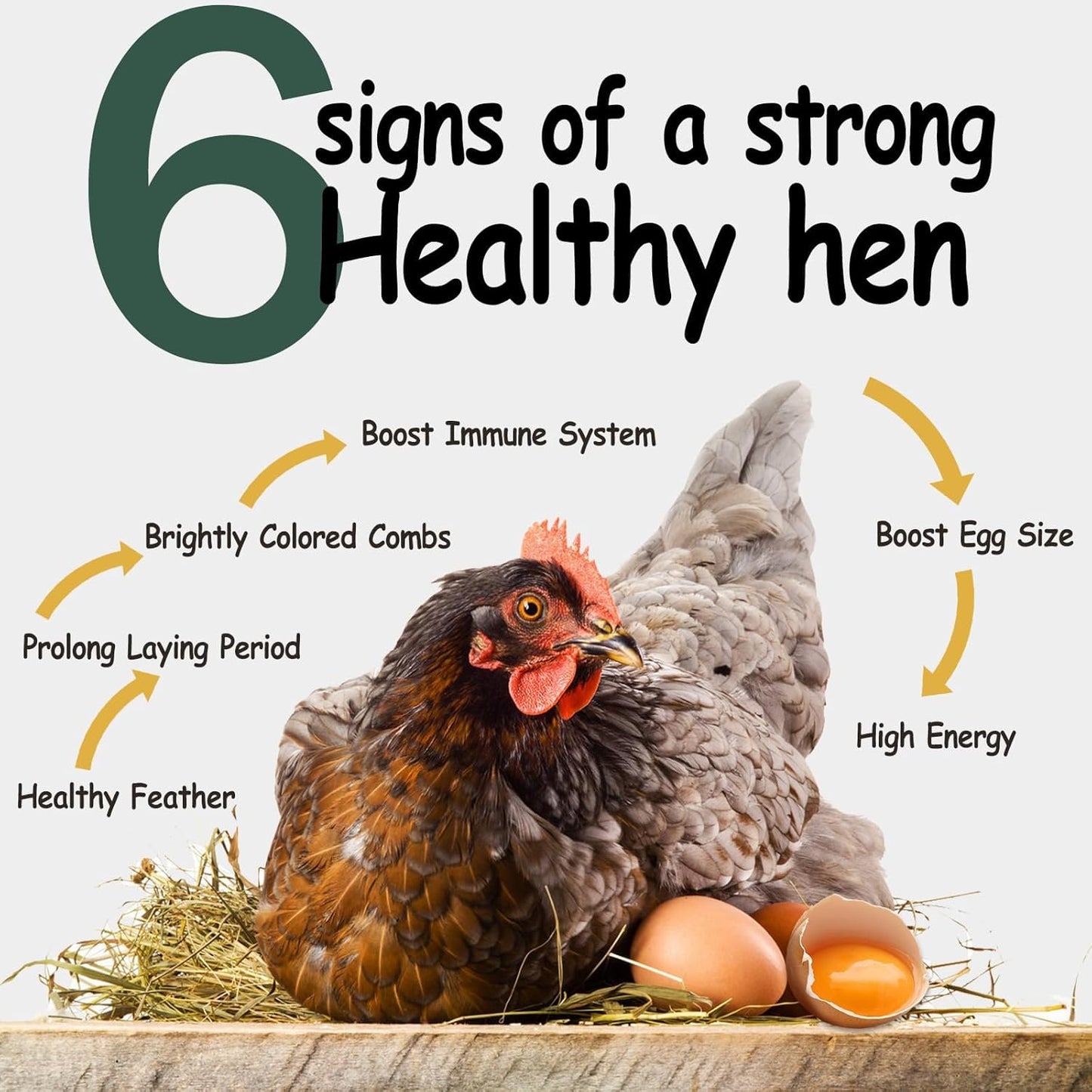 10LB Dried Black Soldier Fly Larvae for Chickens - Non-GMO Insect Larvae Treats More Calcium Than Mealworms, High Protein Chicken Feed for Backyard Poultry - BSFL, Bird Food, Chicken Worms