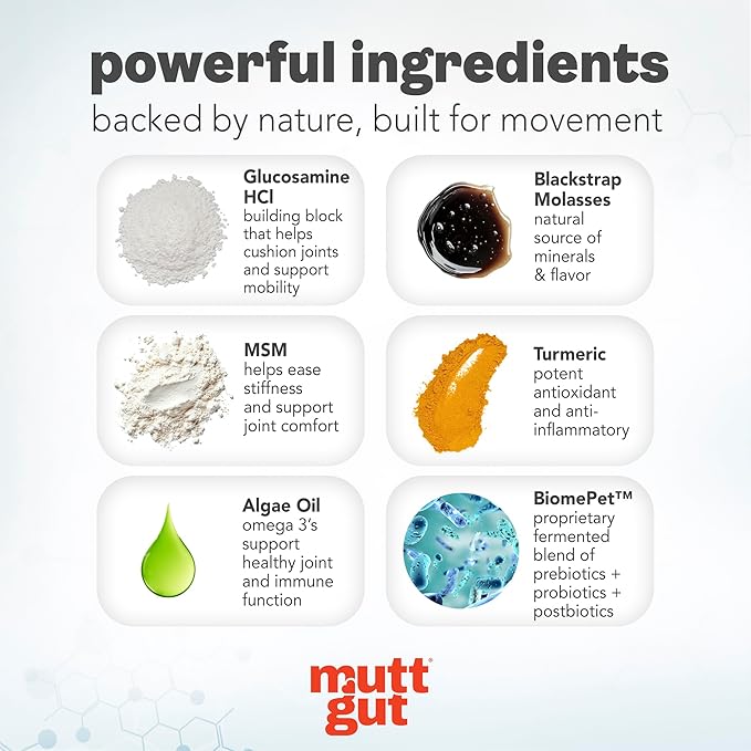 MuttGut® Mobility Chews for Dogs - Glucosamine Chews with MSM, Turmeric & Algae Oil Powder - Joint Support & Hip Health Supplement for Dogs - Vet Recommended, cGMP Certified - 60 Soft Chews