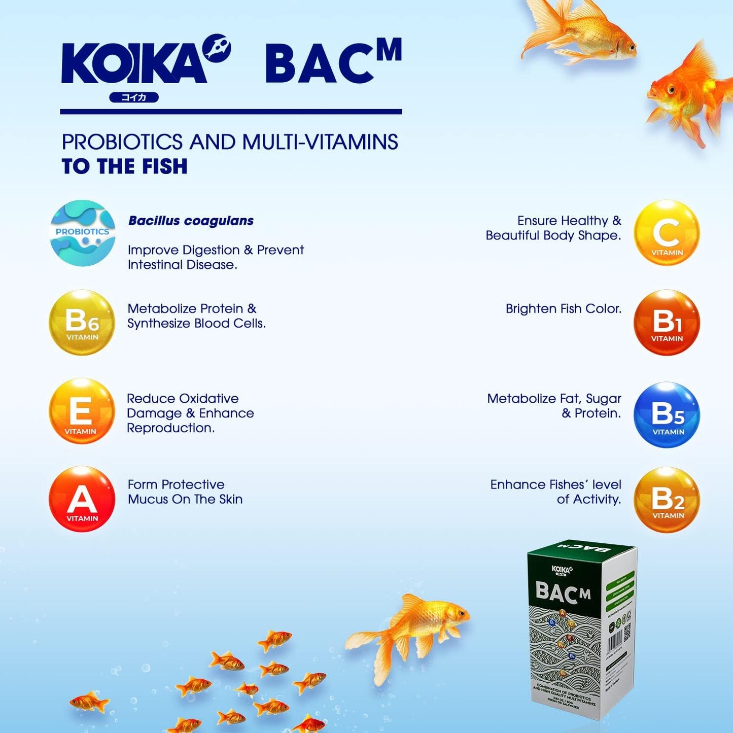 KOIKA BACM Natural Color Enhancement for Fish, Combination of Probiotic & Multi-Vitamins for Aquarium A, B6, B2, Pleasant Smell(BACM (Powder), 2.82 oz)