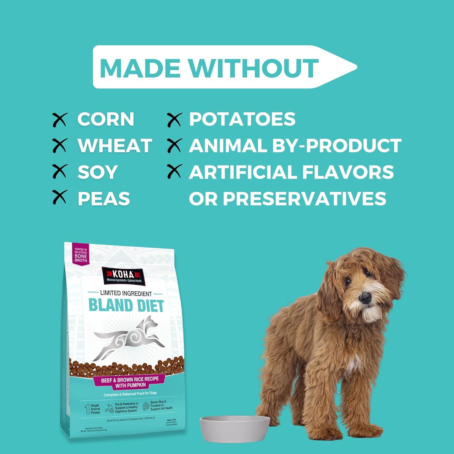 KOHA Limited Ingredient Bland Diet Dry Food for Dogs - Beef & Brown Rice Recipe, Sensitive Stomach Dog Food - Pumpkin for Digestive Support, 3.5 lbs