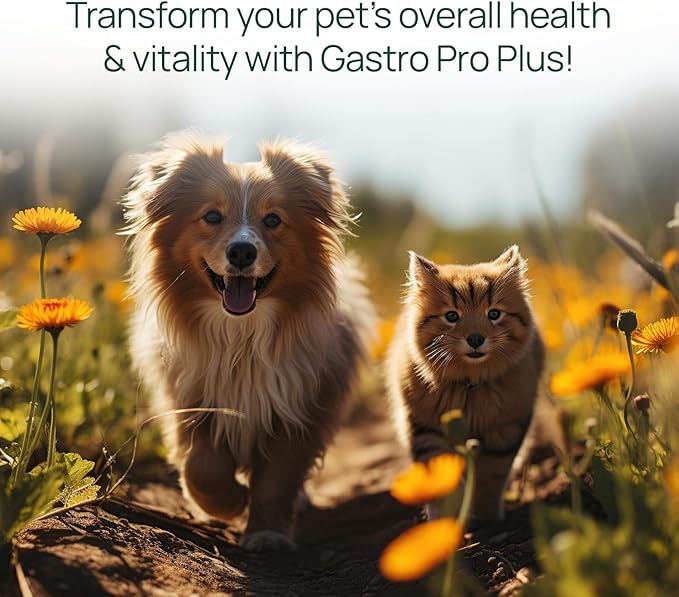 pawTree Gastro Pro Plus® for Dogs and Cats - Probiotics, Prebiotics and Digestive Enzymes - for Sensitive Stomach, Digestive Issues, Loose Stool, and Bad Gas (60 ct)