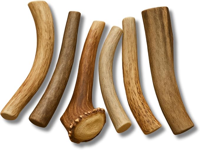 WhiteTail Naturals - Antlers for Extra Small Dogs (6 Pack) Deer Antler Dog Chew Bones for Extra Small Aggressive Chewers - Long Lasting Horn Chew Toys - Naturally Shed