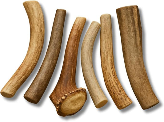 WhiteTail Naturals - Antlers for Extra Small Dogs (6 Pack) Deer Antler Dog Chew Bones for Extra Small Aggressive Chewers - Long Lasting Horn Chew Toys - Naturally Shed