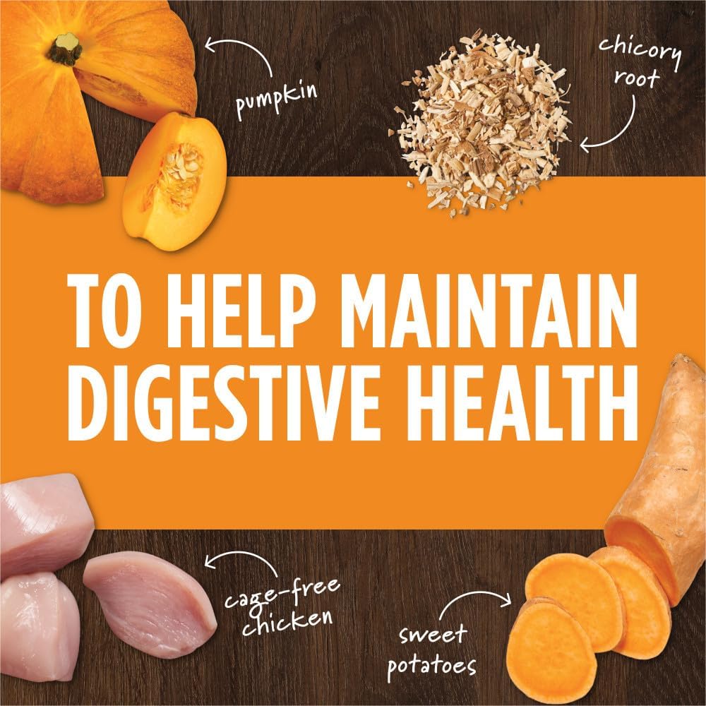 Instinct Raw Boost Mixers Freeze Dried Dog Food Toppers For Dry Food, Grain Free with Chicken For Dogs - Gut Health, 23 Ounce