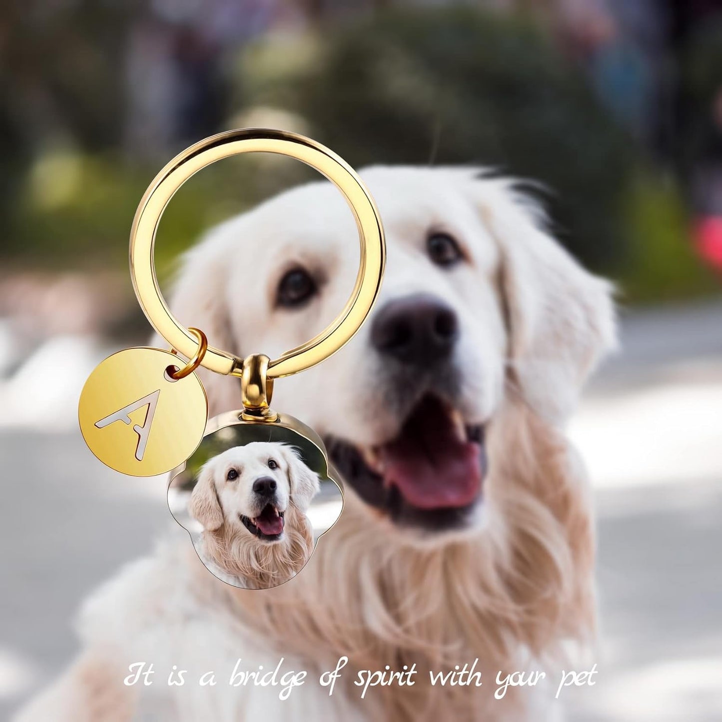 Personalized Cremation Urn Keychain for Pet Human Ashes Custom Photo/Name/Date Dog Cat Paw Print Pendant Stainless Steel Keyring Memorial Keepsake Keychain for Women Men (Style B2)