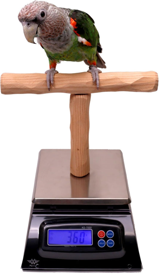 NU Perch Parrot Training Scale