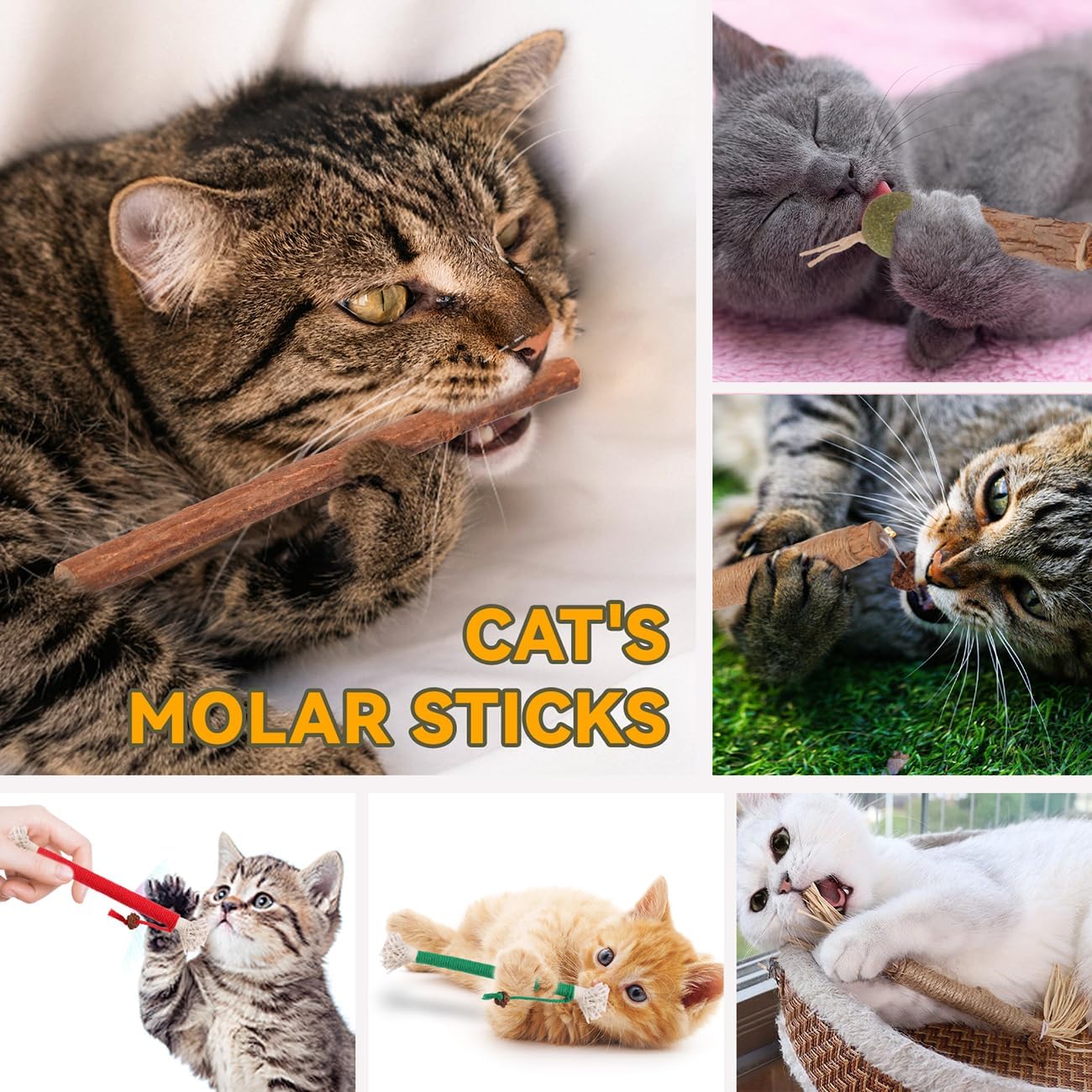 Cat Toys Cat Chew Toys, Silvervine Sticks Catnip Rope Toys for Cats Teeth Cleaning, Kitten Dental Care, Kitty for Indoor Cats Increase Appetite,Enhances Oral & Dental Health (20 Pack)