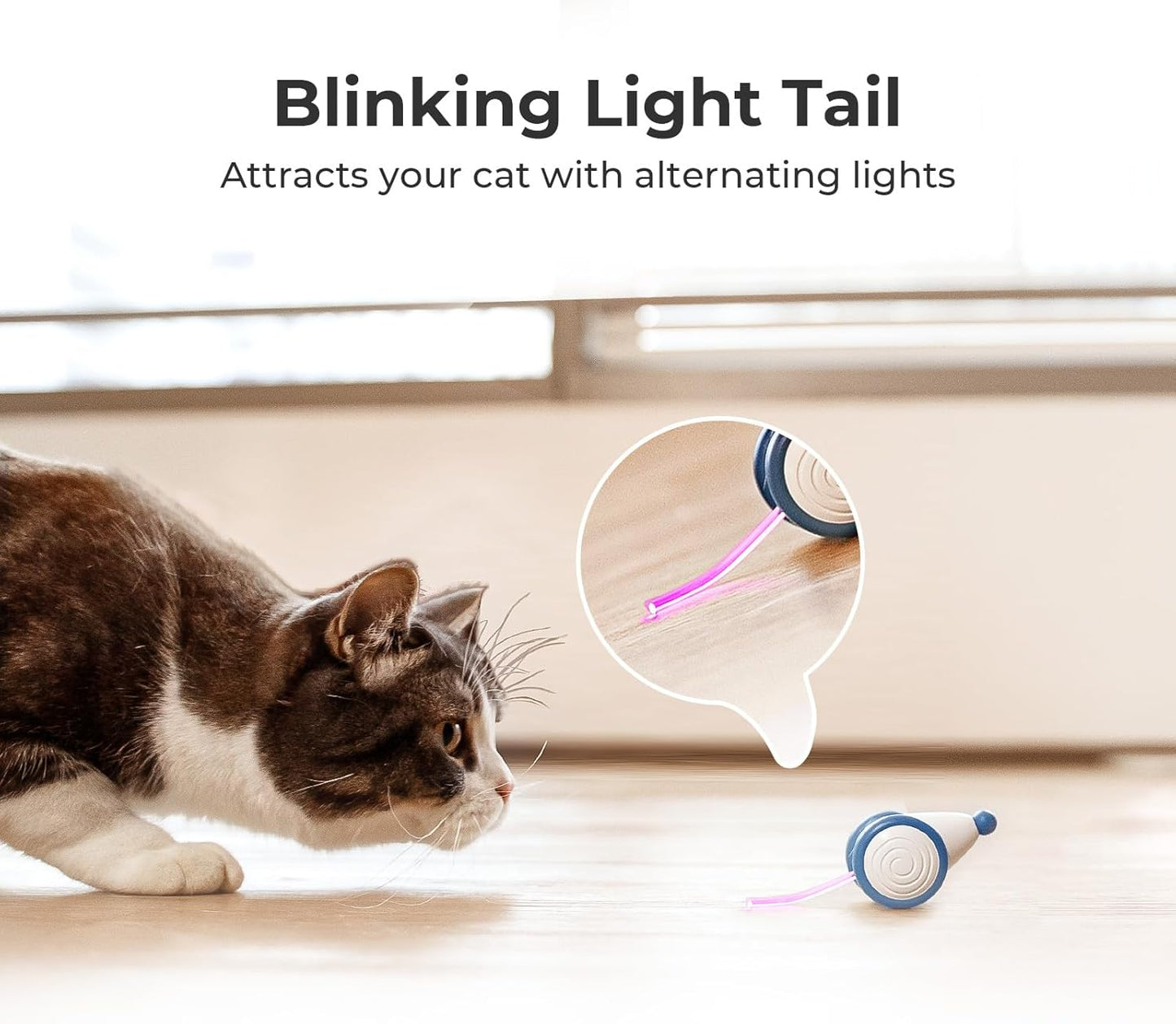 Cheerble Interactive Cat Toys for Indoor Cats, Automatic Cat Toy with LED Lights, Wicked Mouse Toys, Kitten Toys, Pet Toys, Smart Electric Cat Toy, USB Rechargeable, Auto On/Off… (Blue)