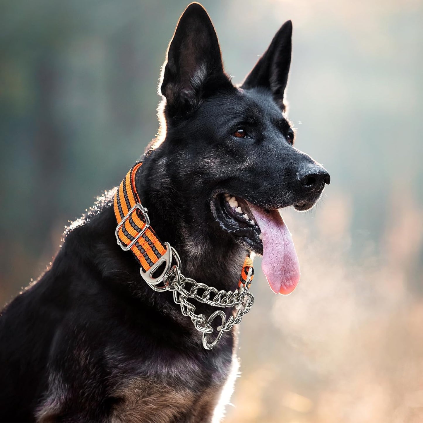 Martingale Collar for Dogs with Soft Padded,Trainer Approved Limited Slip Collar with Steel Chain,Reflective Adjustable Choke Dog Collar for Training, Walking, Hunting (Orange L)