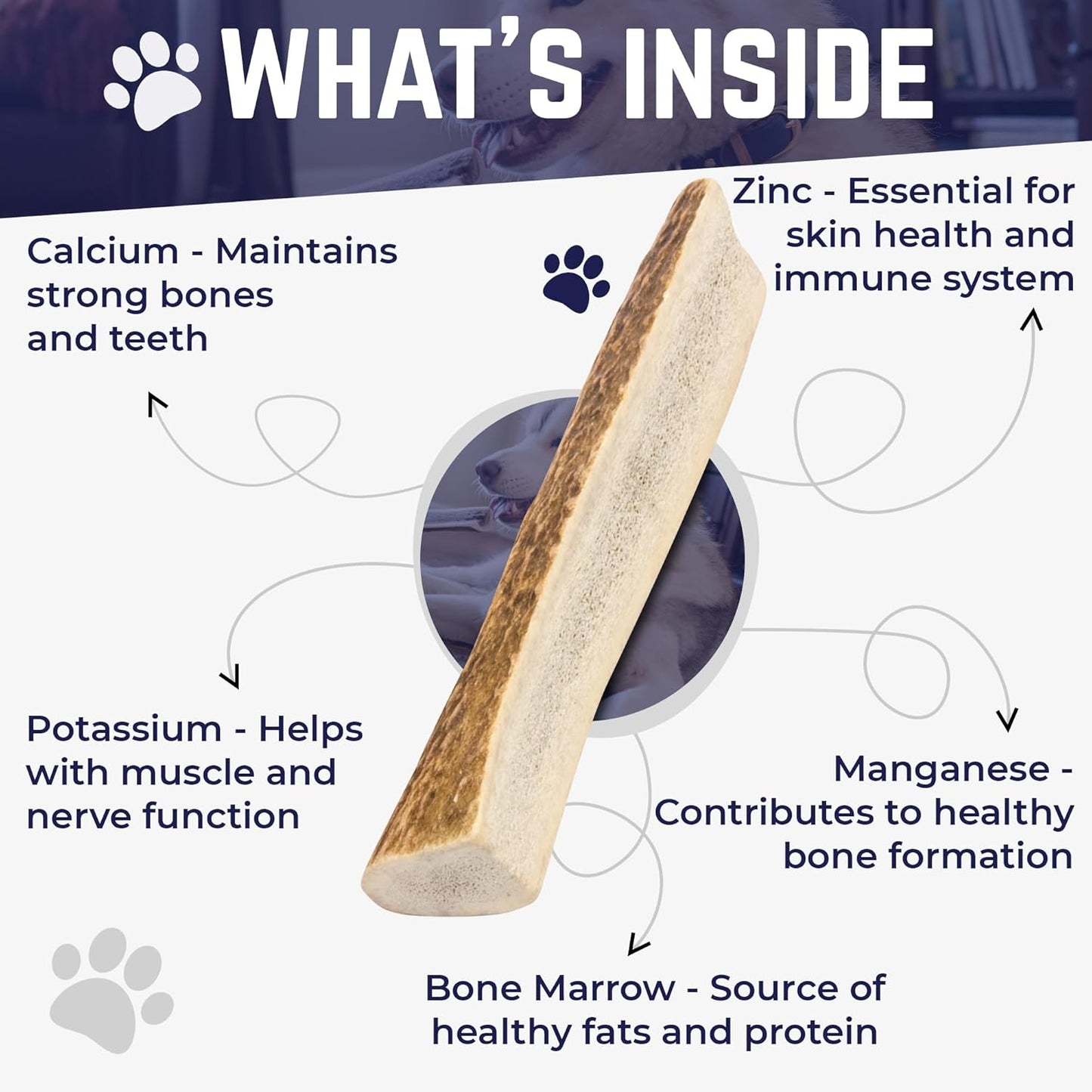 Devil Dog Pet Co. Split Elk Antlers for Dogs, Medium 5"+, 1 Pack, Grade A Long Lasting Chew for Aggressive Chewers, Premium USA Naturally Shed Antler – Healthy, No Odor, Durable Dog Chew