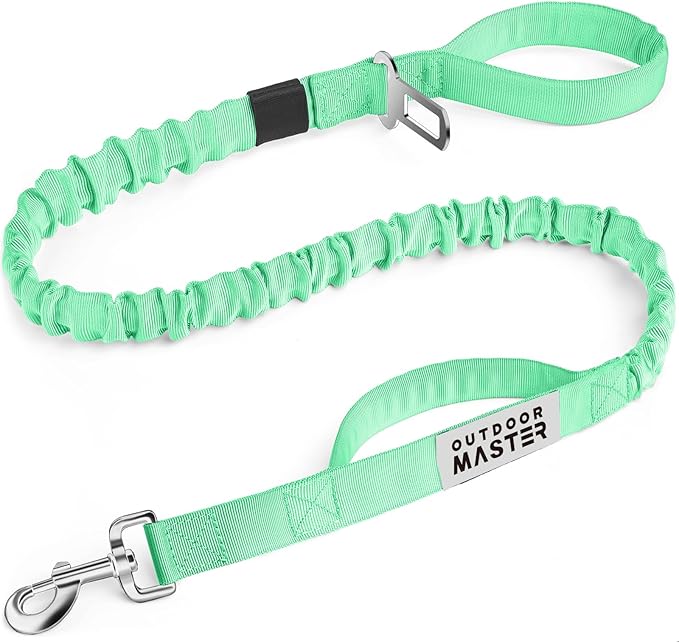 OutdoorMaster Bungee Dog Leash, Heavy Duty Dog Leash with Shock Absorption, 2 Padded Handles Training Leash, Improved Dog Safety and Comfort - Green Upgraded, 4 FT