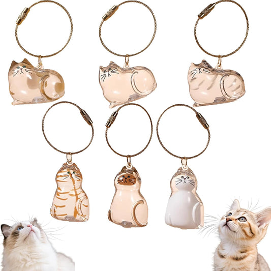 6 Pcs Cat Fur Charm Keepsake Keychain Pet Hair Memorial Capsule Portable Acrylic Memory Pendant for Cat Lovers